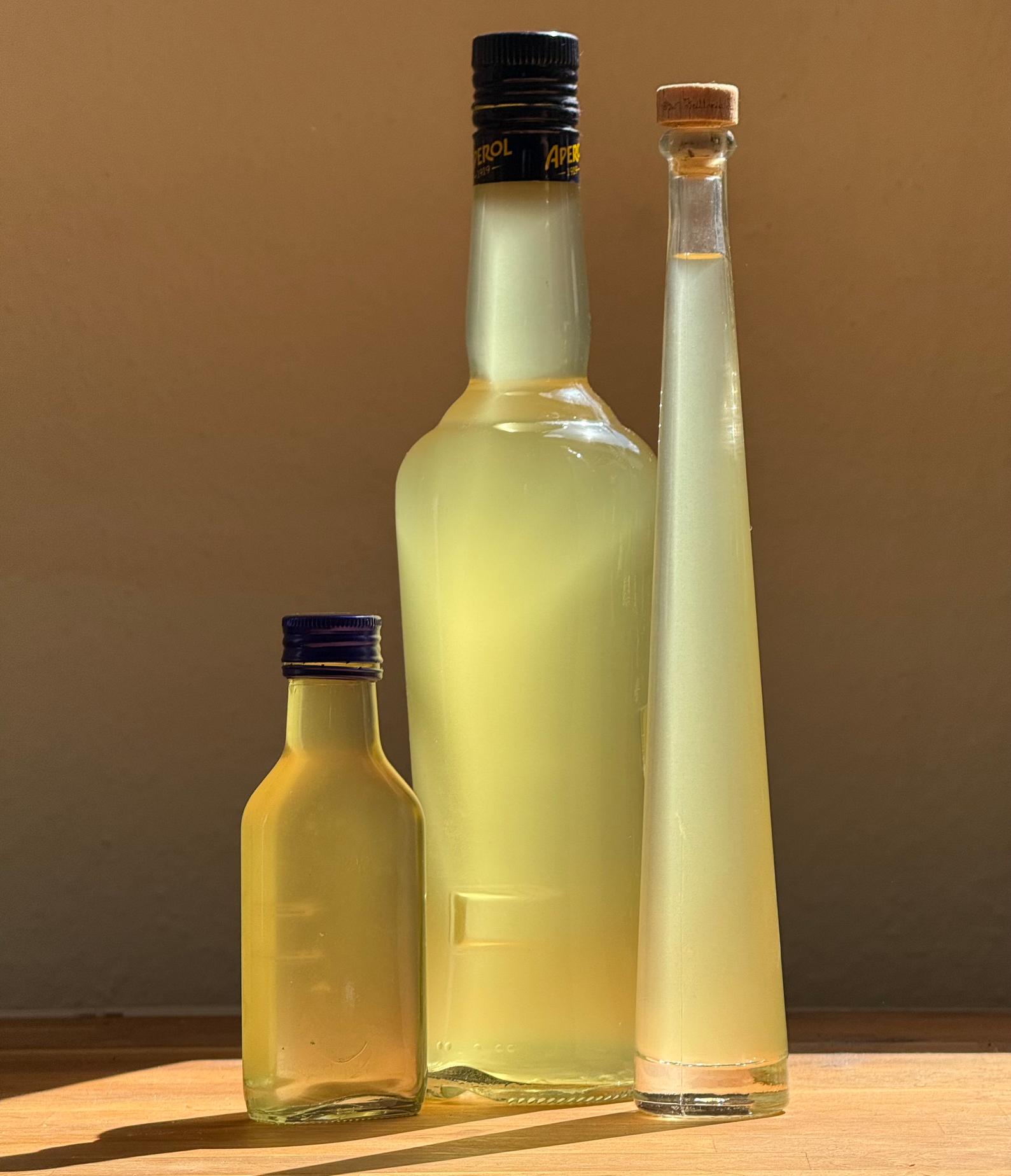 The 2026 batch Bottled Elderflower cordial