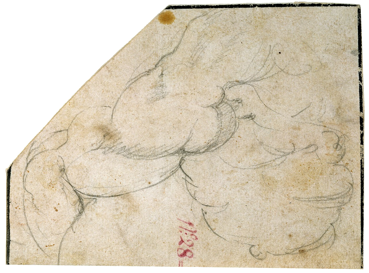 Study by Michelangelo